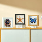 6x6 Small Shadow Box Picture Frame - Image 7