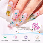 4 Boxes 3D Dried Flowers for Nails, Mini Dried Flowers Nail Stickers Decals | - Image 5