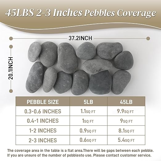 Quibbay 45 LB Mexican Beach Pebbles, 2-3 Inch Natural River Rocks, Premium - Image 6