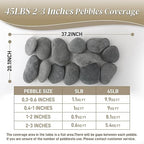 Quibbay 45 LB Mexican Beach Pebbles, 2-3 Inch Natural River Rocks, Premium - Image 6