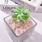 0.5 Lb/230g Rose Quartz Crystal Aquarium Gravel Rocks, Natural Tumbled Healing - Image 6