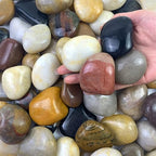 FANTIAN 20 lbs River Rocks for Outdoor Landscaping, 2-3 inch Large Pebbles for by FANTIAN-GardeningMakesLifeBetter