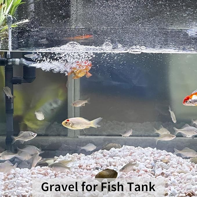 FANTIAN 5lbs Natural White Pea Gravel Pebbles - Image 7