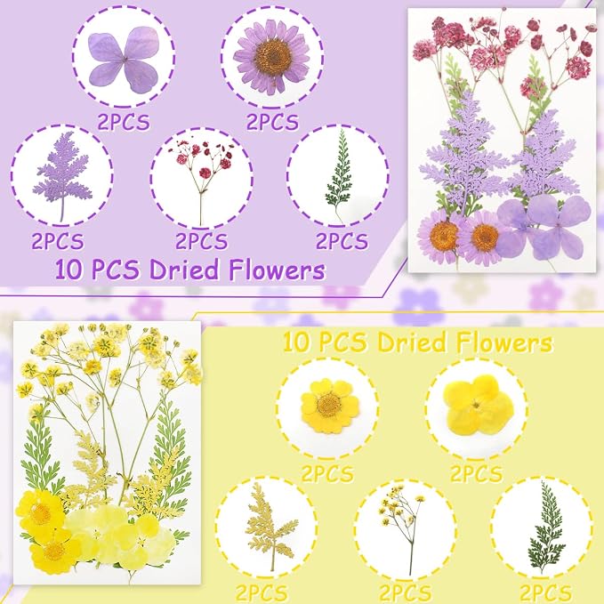 Real Dried Pressed Leaves for Candle Resin Jewelry Soap Nail Pendant Phone Case - Image 3