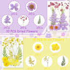 Real Dried Pressed Leaves for Candle Resin Jewelry Soap Nail Pendant Phone Case - Image 3