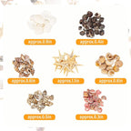 JQAQJU 1000 PCS Mini Sea Shells Small Starfish Mixed, 20 Kinds of Tiny - Image 5