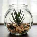 10LB Decorative River Rocks Gravel -2/5/'' Mixed Color Gravel - Image 5
