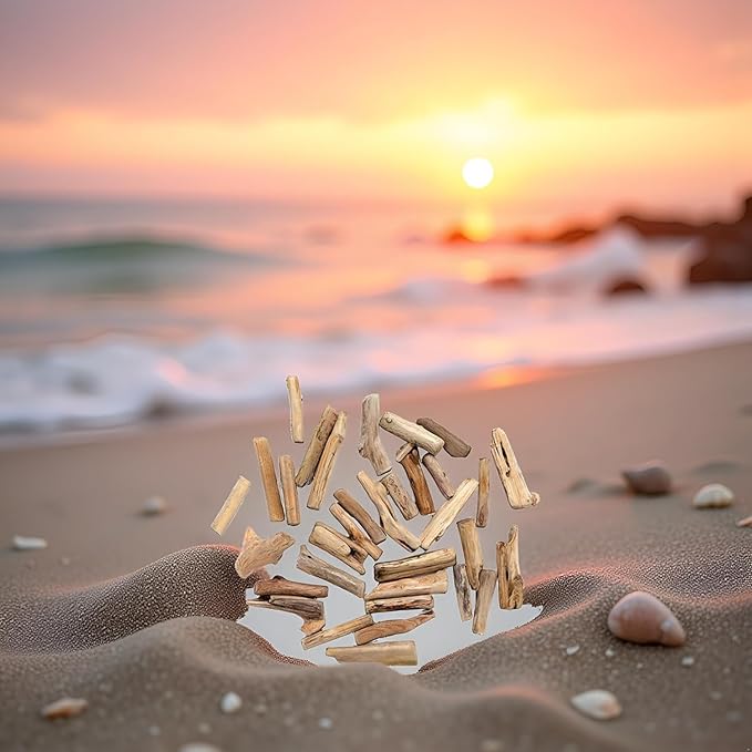 20 Pcs Wood Natural Driftwood Pieces Branch Slices Craft Sticks Beach Decor for - Image 3