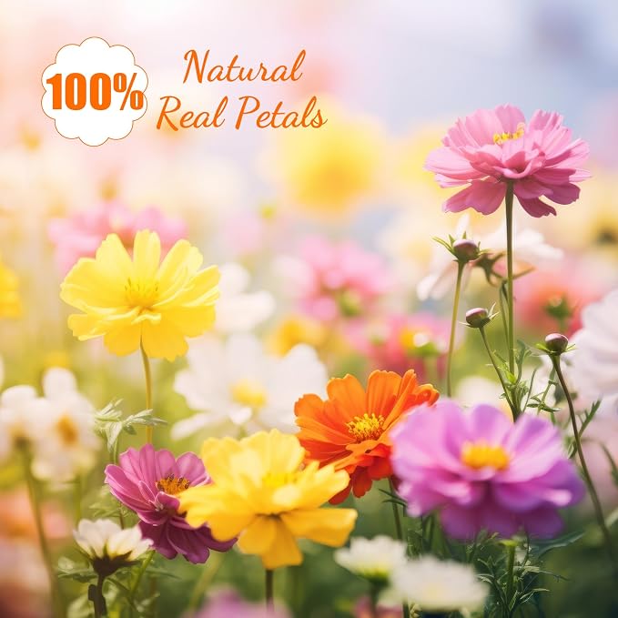 96 Pcs Natural Dried Pressed Flowers - Image 4