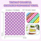 Tintnut Rainbow Checkerboard Permanent Vinyl, waterproof, easy peel & stick - Image 2