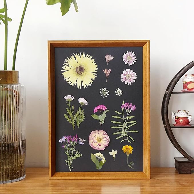 Woohome 44 PCS Pressed Flowers Natural Dried Flowers White Resin Flowers Real - Image 7