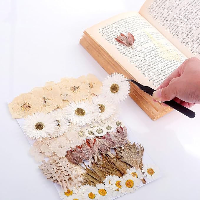 100 PCS Real Dried Pressed Flowers Leaves Natural Plant Herbarium - Image 4