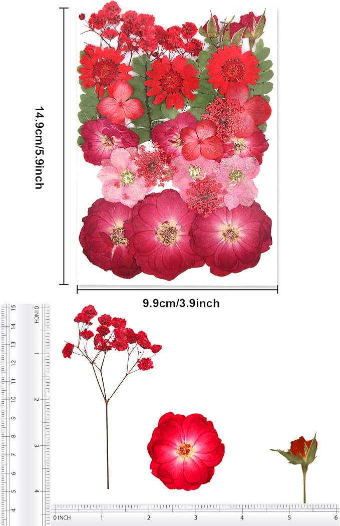 Augshy Red Dried Pressed Flowers, Pressed Red Roses Dried Flowers - Image 2