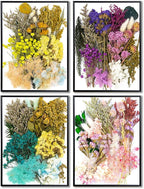 Vignee Real Dried Pressed Leaf Flowers-Multiple Colorful Pressed Flowers Daisies - Image 6