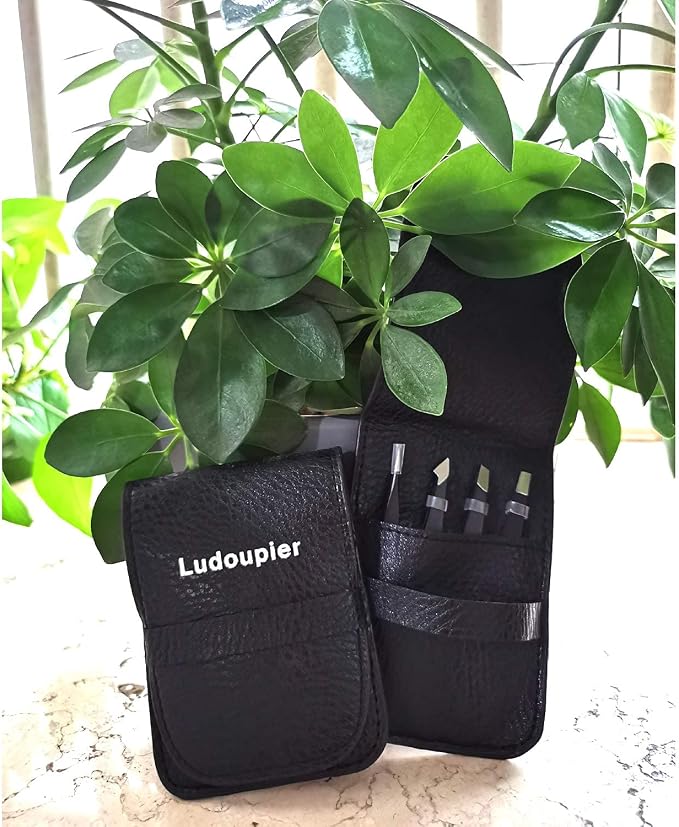 LUDOUPIER Tweezers Set with Travel Case, Great Precision Upgrade Professional - Image 8