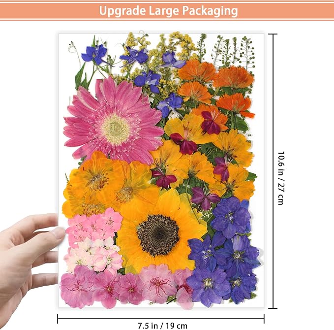18 Types 75 Pcs Dried Pressed Leaves Flowers Real Natural Dried Plant - Image 3