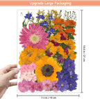 18 Types 75 Pcs Dried Pressed Leaves Flowers Real Natural Dried Plant - Image 3