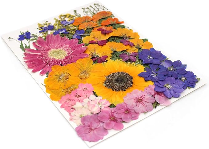 18 Types 75 Pcs Dried Pressed Leaves Flowers Real Natural Dried Plant - Image 7