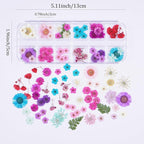 60Pcs Small Dried Pressed Flowers - Image 2