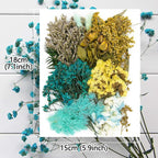 Vignee Real Dried Pressed Leaf Flowers-Multiple Colorful Pressed Flowers Daisies - Image 3