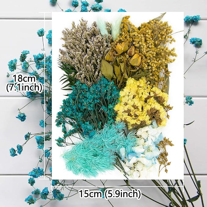 Vignee Real Dried Pressed Leaf Flowers-Multiple Colorful Pressed Flowers Daisies - Image 3