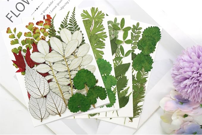 84 Pcs Dried Pressed Leaves Flowers Real Natural Dried Leaves Plant Kit - Image 3