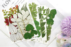 84 Pcs Dried Pressed Leaves Flowers Real Natural Dried Leaves Plant Kit - Image 3