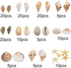 yaokan Natural Sea Shells & Starfish Set, Drilled Beach Shells | DIY Crafts - Image 2