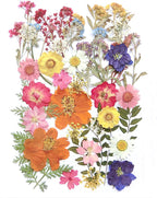 17 Types 48PCS Real Dried Pressed Flowers Leaf Plant Herbarium by AHTONG