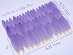 48 Pcs Mix Natural Dried Pressed Water Lily Petals - Image 2