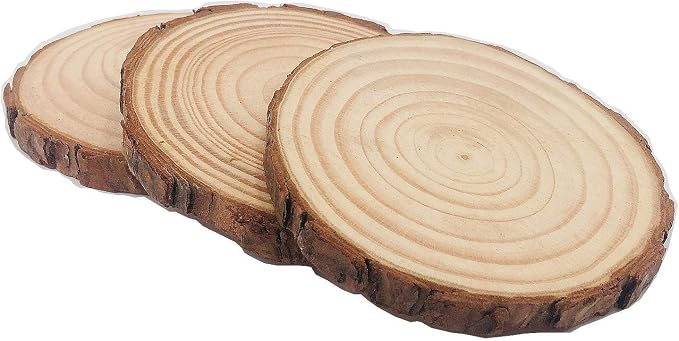 Unfinished Natural Wood Slices 12 Pcs 3.5-4 inch Craft Wood kit Circles Crafts - Image 2