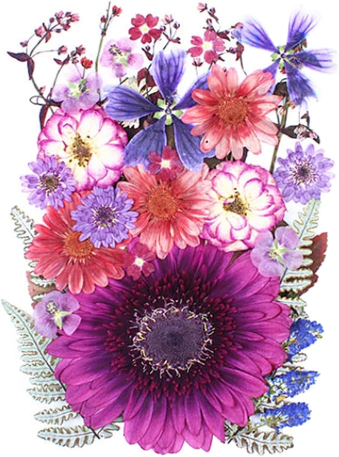 35Pcs Dried Pressed Flowers for Crafts Resin DIY Art Natural Dry Floral Large by TopFunny