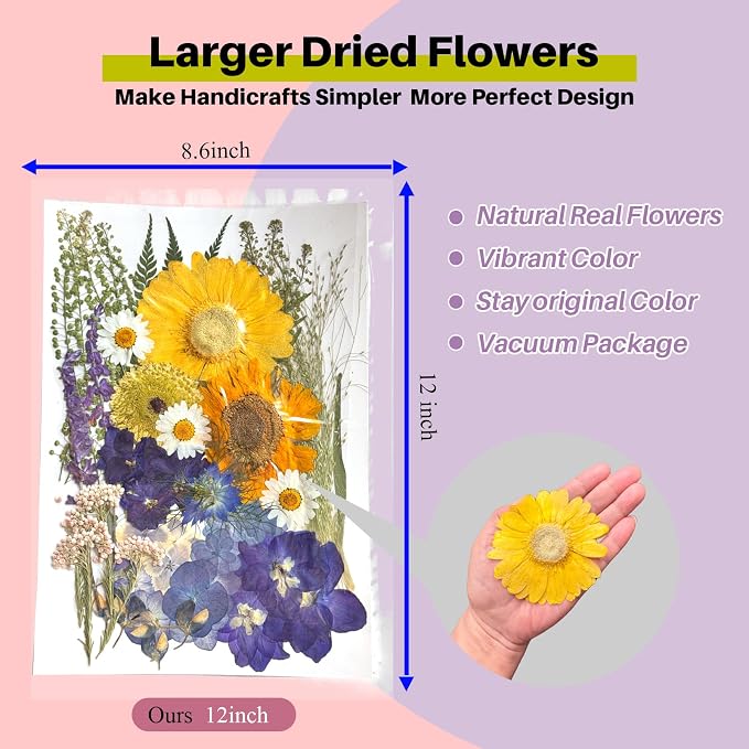 A4 Large Dried Pressed Flowers for Resin Real Dry Natural Flowers Leaves for - Image 2