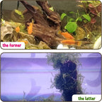 Hamiledyi 5PCS Driftwood for Aquarium Decor 3.5-7in Spider Wood Betta Fish Tank - Image 7