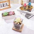 Colorful Agate Crushed Stone Crystal Chips Bulk Irregular Shaped Aquarium Decor - Image 5