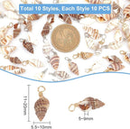 PH PandaHall Shell Pendants Spiral Seashells Craft Charms Cowrie Sea Shells - Image 2