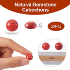 FASHEWELRY 50Pcs Synthetic Red Turquoise Cabochons Flat Back Gemstone Cabochons - Image 5