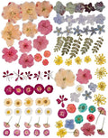 86pcs Pressed Flowers for Resin, Dried Flowers and Dry Leaves for Scrapbooking by WXQX