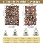 FANTIAN 5 lbs Red River Rocks, 1-2 Inch Polished Pebbles - Image 3