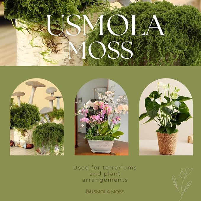 USMOLA Fake Moss for Potted Plants Indoor, 7OZ Green Moss for Crafts - Image 7