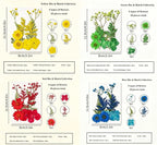Dried Flowers, Resiners 80Pcs（Trending Colors） Pressed Flowers - Image 3