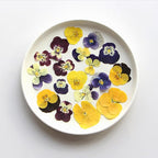 54 Pcs Dried Pressed Flowers for Resin DIY Art Crafts Natural Dry Floral Epoxy - Image 4