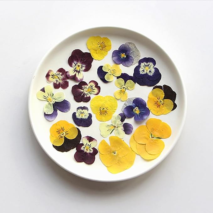 54 Pcs Dried Pressed Flowers for Resin DIY Art Crafts Natural Dry Floral Epoxy - Image 4