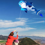 HENGDA KITE 3D Kite for Kids and Adults, Excellent Fabric and Structure - Image 5