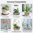 Succulent Rocks, Virekm River Rocks, Decorative Ornamental Pebbles Garden - Image 7