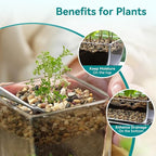 2.5 lbs Small Rocks for Plants, 1/5 Inch Gravel for Plants Drainage, Decorative - Image 2