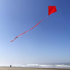 In the Breeze 3299 - Image 2