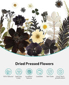Dried Flowers, Resiners 100Pcs Pressed Flowers - Image 4