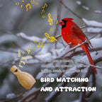 ZDH 9-Piece Wooden Bird Call Set – Handcrafted Bird-Call in Glass Wooden Box - Image 5
