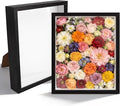 VOKOY 2 Pack 8" x 10" Shadow Box Frame, Wooden Black Hollow Photo Frame by VOKOY